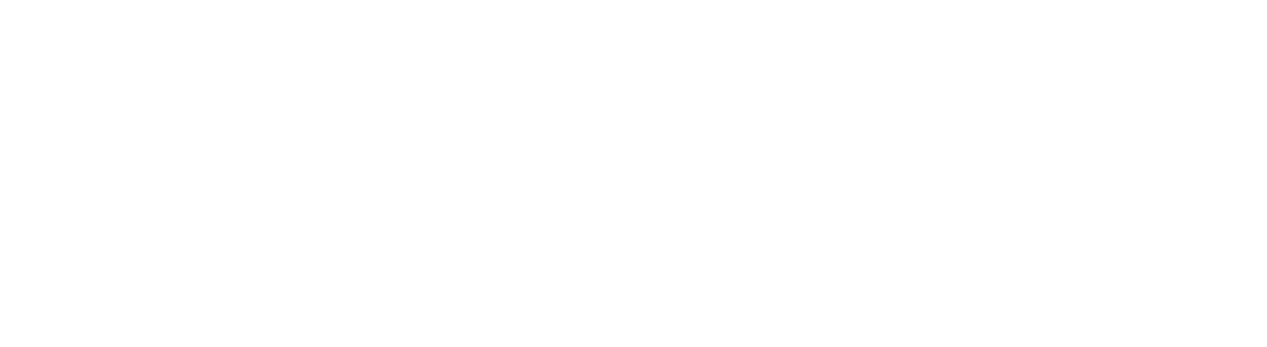 PRO AGE GROUP